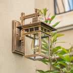 Clear Glass Outdoor Wall Lantern - Antique Bronze Finish Beside Plants