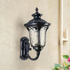 Ripple Glass Outdoor Wall Lantern - Black Finish Beside Climbing Plants
