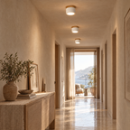 Compact LED Flush Ceiling Light with Wood-Effect Accent - Row in Sunlit Hallway