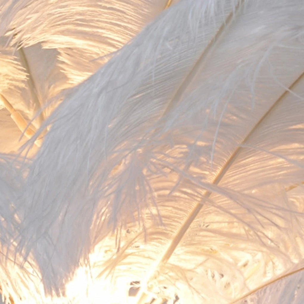 30 Inch Statement Ostrich | Feather Decorative Accent Floor Lamp